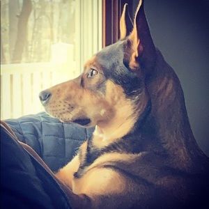 Meet your Posher, Jillena